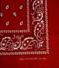 Bandana Western