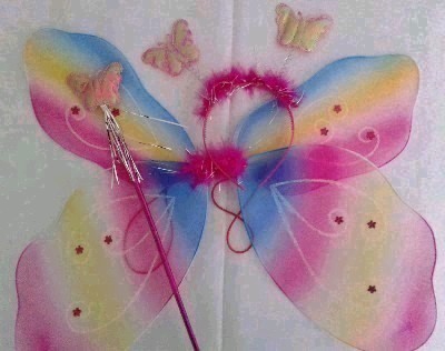 Fairy Wings Rainbow