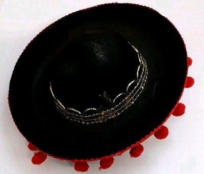 Fiesta Spanish Hair Clip