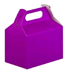 Party Box with Handle